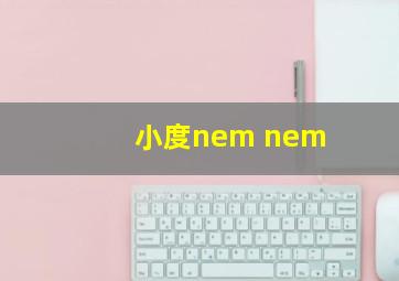 小度nem nem